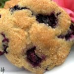 Veganizing a Recipe: Blueberry Muffins