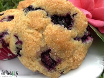 Veganizing a Recipe: Blueberry Muffins 2